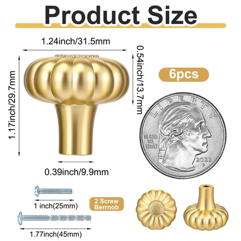 Six Pack Gold Cabinet Knobs With Brushed Brass Finish for Dresser and Drawer Doors, pumpkin design, size comparison with coin and screws