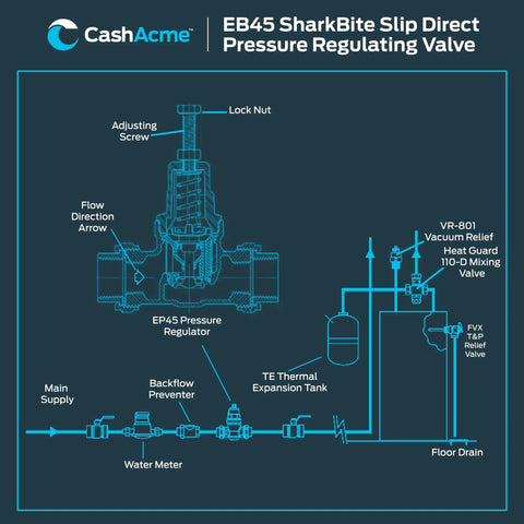CashAcme EB45 pressure regulator valve diagram with 3/4 in push-to-connect, poly top, showing lock nut and adjusting screw