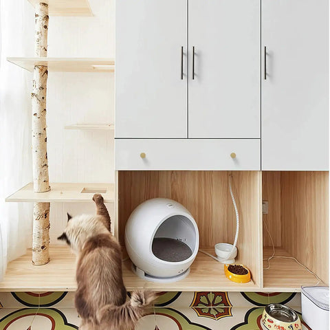 Modern kitchen cabinet with 30 Pack 5 Inch Cabinet Pulls With 3 Inch Hole Center In Satin Nickel, cat climbing adjacent structure.