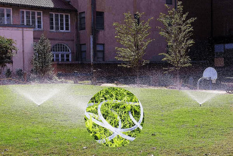 PVC tubing 1-inch ID x 1-1/4-inch OD, clear vinyl irrigation hose with 4 stainless clamps; lawn sprinklers spray water.