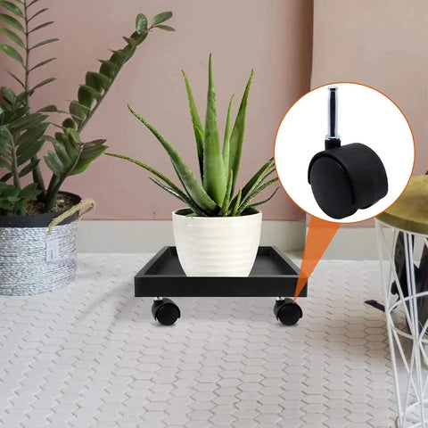 Plant on stand with 4 Pack M8 Grip Neck Stem Caster Wheels 2 Inch Black Nylon Swivel Casters attached for smooth mobility.