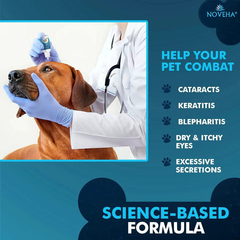 Veterinarian applying Gentle Pet Drops Wash for Eyes and Skin Cleansing for Dogs Cats Horses Rabbits to dog's eyes