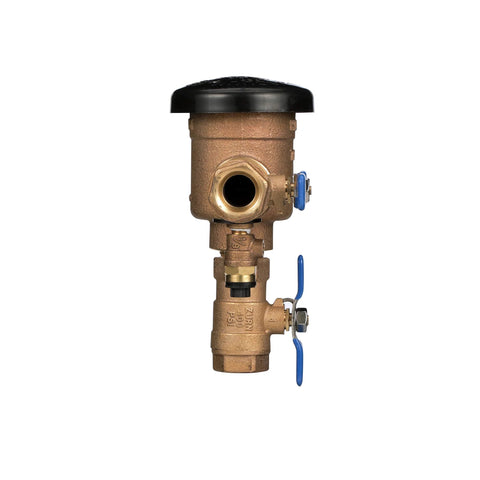 Brass Zurn Wilkins 1 in. pressure vacuum breaker assembly with black cap and blue test cock handles.