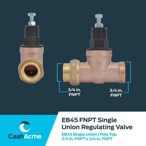 Cash Acme EB45 3/4 in FNPT single union PRV valve, brass body with black cap, front and side views.