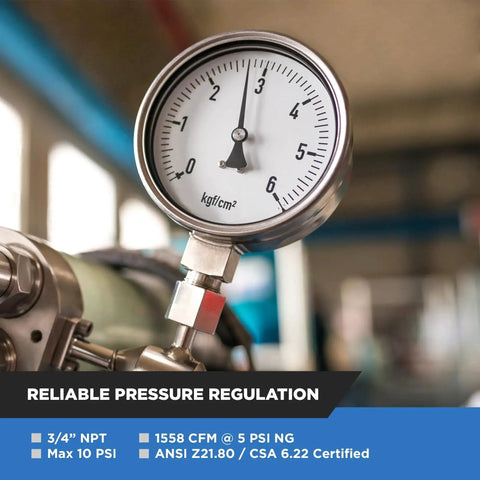 Workhorse Three Quarters Inch NPT Natural Gas Regulator NMT NGR02 75 Delivers 1558 CFM at 5 PSI NG and 2430 CFM LPG gauge