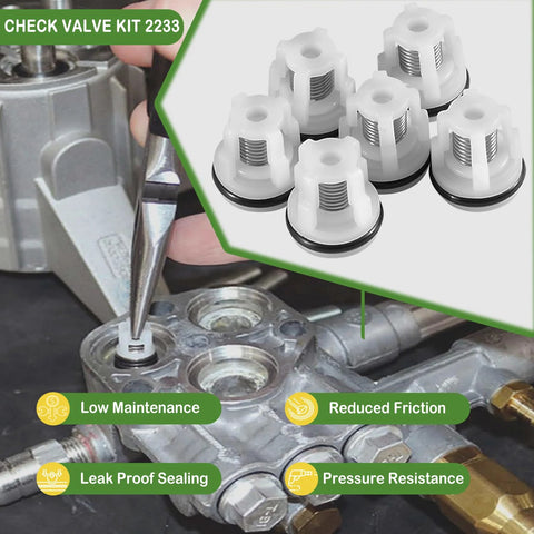 Check Valve Kit 2233: six white plastic check valves with springs for AR Annovi Reverberi pressure washer pumps