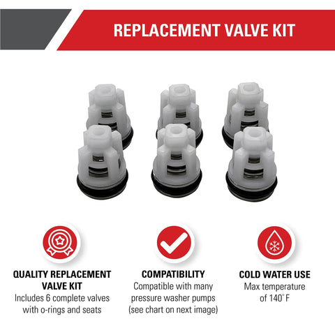 Replacement valve kit components for pressure washer pumps, six white plastic valves with black O-rings.