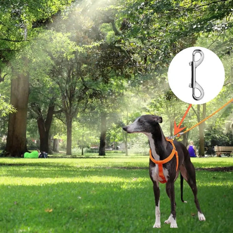 Dog in park with Double Ended Snaps 2.75 Inch Zinc Alloy Carabiner Hooks For Pet Leash Key Holder highlighted.