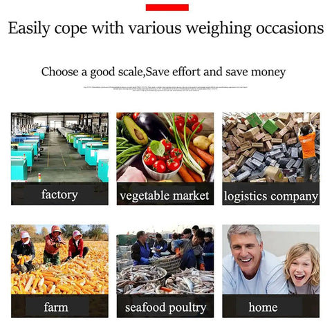Image showing various weighing occasions: factory, vegetable market, logistics company, farm, seafood poultry, home.