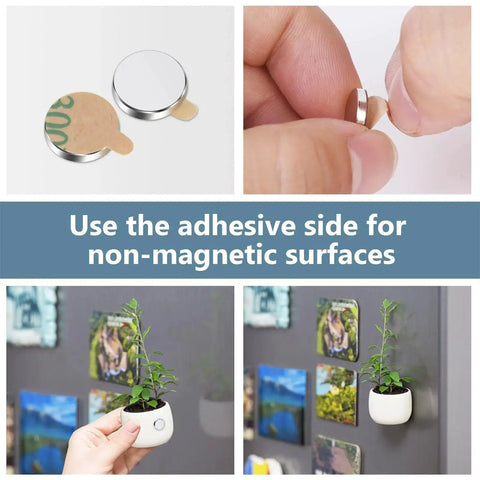 UTOMAG round magnets with adhesive backing; 60 pcs, 8x1 mm; used to mount plant pots on walls.
