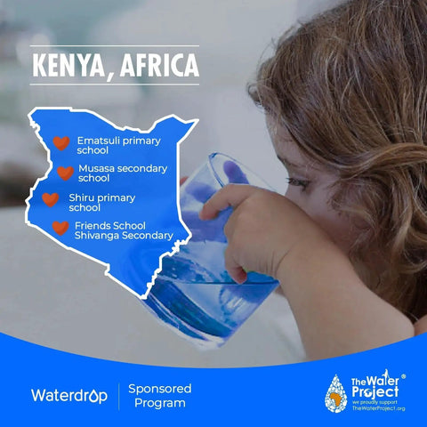 Waterdrop 3-pack replacement water filter for GE Opal Nugget ice maker; banner with Kenya map and Water Project branding