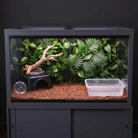 Reptile terrarium with a branch, water dish, and foliage inside, placed on a cabinet.