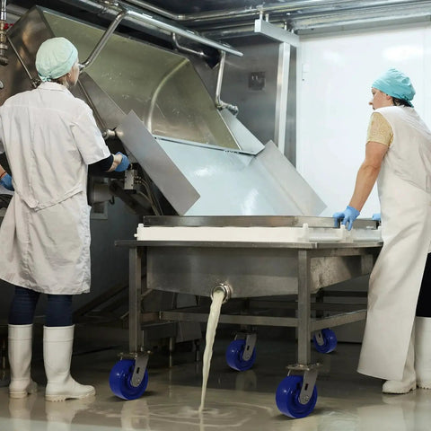 Workers in a food processing plant with stainless steel 5 inch heavy duty caster wheels with anti corrosion rust proof design blue solid polyurethane wheel built to last industrial caster with 1000 lb capacity per caster one brake included
