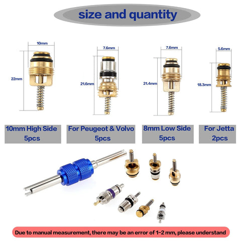 Automotive A/C valve core kit, 40 pieces with blue dual-head dismantling tool, R12/R134a cores
