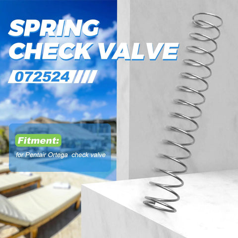 Spring check valve coil in stainless steel; for Pentair Ortega check valve, close-up with outdoor poolside background