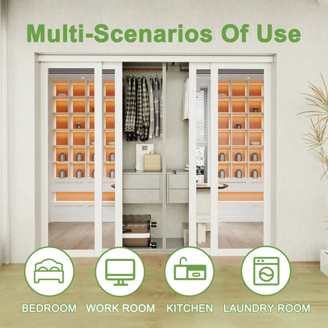 60 Inch By 80 Inch Sliding Closet Door Set With Double 31 Inch Panels 5 Lite Frosted Glass in a bedroom setting