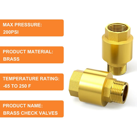 Brass check valve, DN20 3/4 BSP female and male threads; two valves shown.