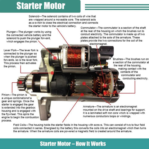 Cutaway view of a starter motor showing solenoid, plunger, lever fork, pinion, commutator, brushes, armature, and field coils.