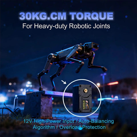 Two Pack Beefy 30Kg High Torque Serial Bus Servo Motor 12V for robotic joints showcasing torque capacity at night