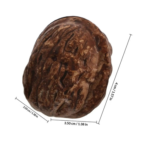 Close-up of 24Pcs Realistic Artificial Walnut Nuts Miniature Faux Fruit Photo Props For Home Table Display Staging And Food Styling