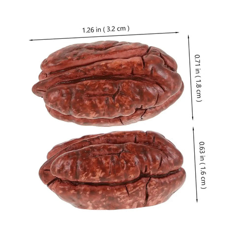Realistic Walnut Miniature Pecans Set Ten Pieces For DIY Decor And Fake Food Props Totally Cute Mini House Accessories Nut Models
