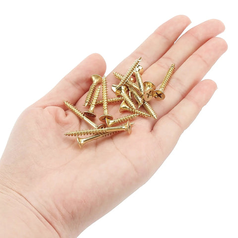 Hand holding gold galvanized wood screws from Gold Galvanized Wood Screws Set With Phillips Drive, 152-Piece Assortment For DIY Projects.