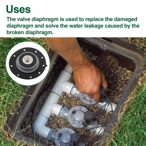 Aulpq valve diaphragm assembly 100232 for Irritrol 205 series irrigation valves; gray plastic, installed in a valve box.