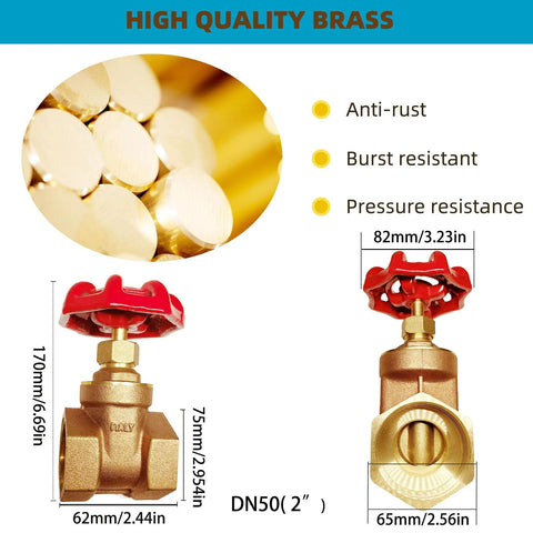 Brass gate valve, 2-inch (DN50) with red handwheel, NPT female threads, front and side views.