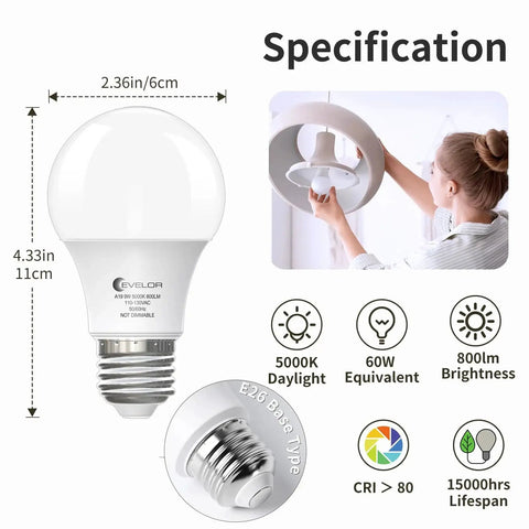 Six Pack A19 LED Light Bulbs With E26 Base 60 Watt Equivalent Daylight 5000K 9 Watts 800 Lumens Non Dimmable Long Life Up To 15000 Hours Ideal For Bedroom And Living Room Energy Saving Household Lighting