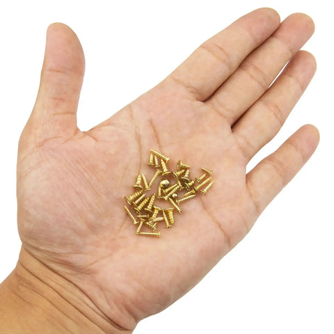 Gold Plated M2 And M3 Tiny Screws Kit Pro Grade 1150Pcs in hand, showing self-tapping Phillips flat head screws in various sizes
