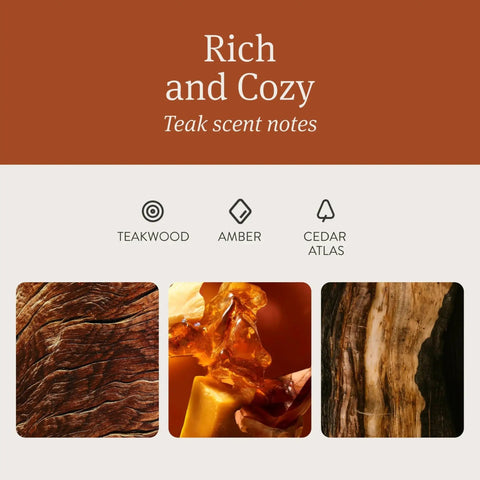 Teak, amber, and cedar notes for Wood Car Air Freshener Teak Scent Starter Kit With Visor Clip