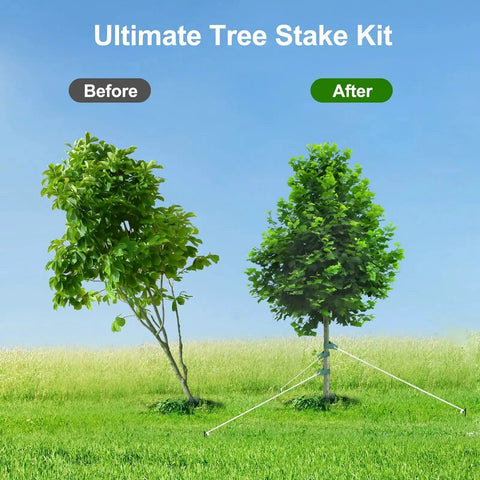 Heavy Duty Tree Stakes And Ground Anchor Kit For Young Trees Weatherproof Support System with before and after tree images
