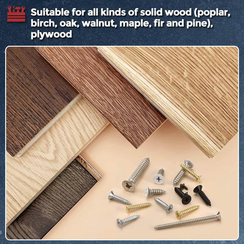 1000 Piece Phillips Flat Head Wood Screws Set Self Tapping Countersunk Screws In ST1 ST1.2 ST1.4 And ST1.7 Sizes 3mm To 6mm Carbon Steel Black for woodworking with wood samples