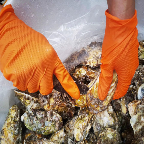 Hands wearing Heavy Duty Industrial Orange Nitrile Gloves 8 Mil With Diamond Grip Powder Free handling oysters