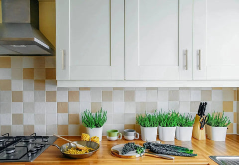 Modern kitchen with white cabinets featuring 10 Pack 5 Inch Cabinet Pulls In Brushed Nickel Stainless Steel For Kitchen Cabinets And Drawers With 3 Inch Center To Center Hole Spacing Easy To Install Durable Hardware Designed For Modern Kitchens, green plants on wooden counter, stove, and backsplash tiles.