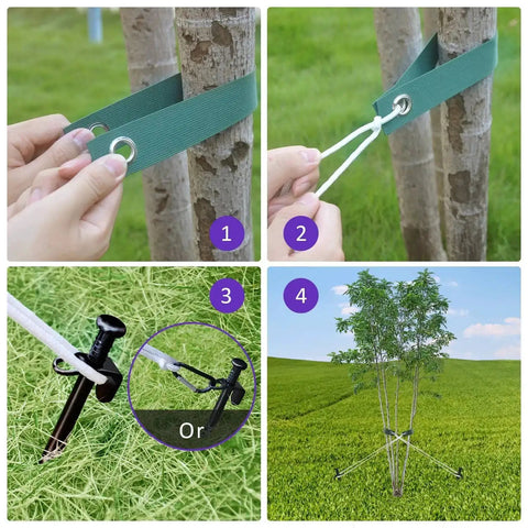 All In One Steel Tree Stake Kit installation process for young trees with steel stakes, straps, and anchoring rope in use.