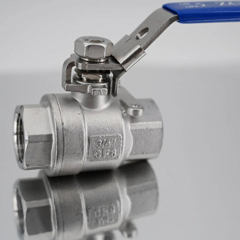 3/4" 304 stainless steel full-port ball valve with blue vinyl handle and NPT female threads