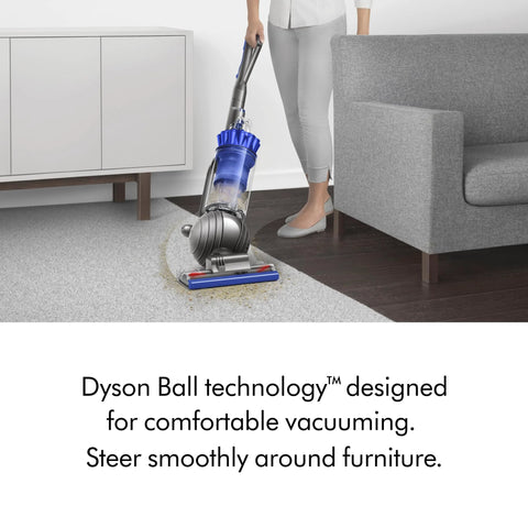 Dyson Ball Animal upright corded vacuum with blue canister cleaning a light gray carpet in a living room.