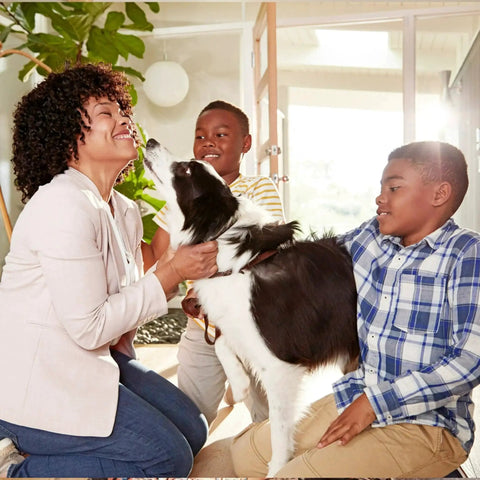 Family with dog enjoying time together in a bright living room.