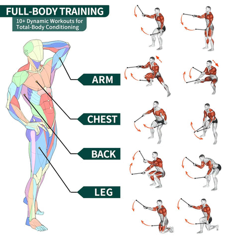 Illustration showing exercises with Two Pack Ropeless Battle Ropes For Home Gym Cordless Workout Ropes For Full Body Training
