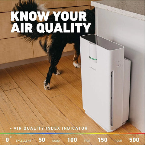 Hathaspace HSP002 true HEPA air purifier, white tall unit on wooden floor beside a cabinet; dog nearby.