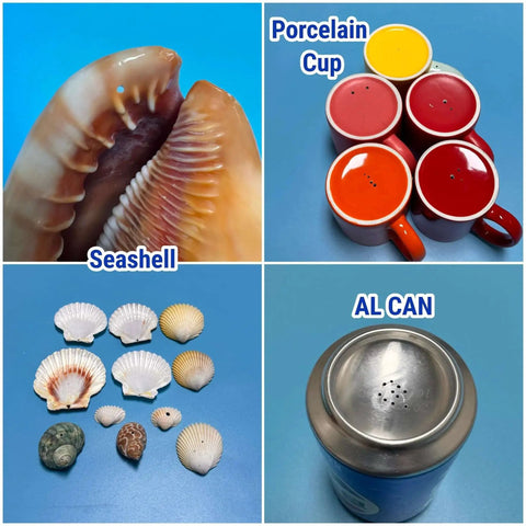 Various shells, porcelain cups, and an aluminum can displayed on a blue surface.