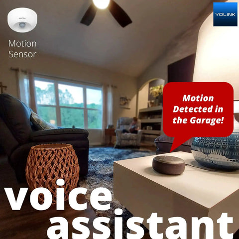 LoRa Long Range Indoor Motion Detector in living room with Alexa integration, motion detected message