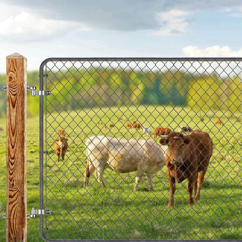 J Bolt Gate Hinge 304 Stainless Steel Farm Gate Hinges With M12 6 Inch Bolt And 5/8 Inch Pin on chain link fence with cows