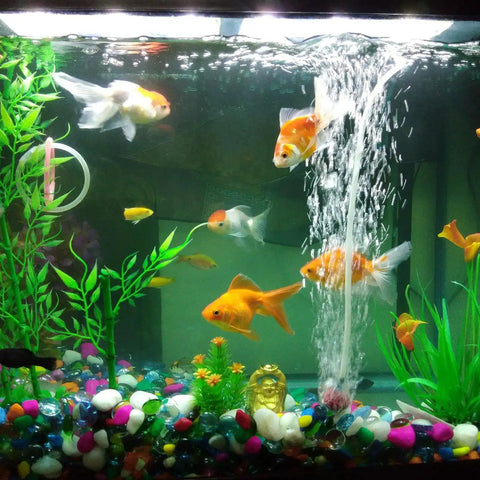 0.9m 3.3ft Clear Silicone Tubing 19mm ID By 23mm OD in aquarium with fish and plants, showcasing drainage and siphoning use
