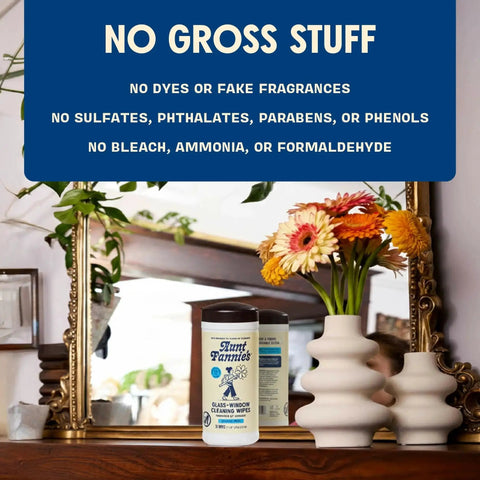 Streak Free Glass And Window Cleaning Wipes With Vinegar Plant Based Cleaners next to vase and mirror, no harsh chemicals