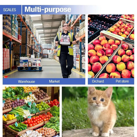 Multi-purpose scales used in warehouse, market, orchard, and pet store settings with cat and various produce.