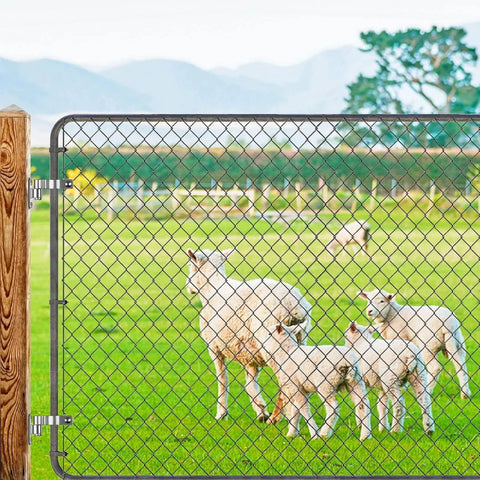 Farm gate with fence and sheep, secured using 304 Stainless Steel Gate Hinges 4 Pack Wall Mount Hinge for Fence Gate, fits 5 by 8 inch eye post pin.