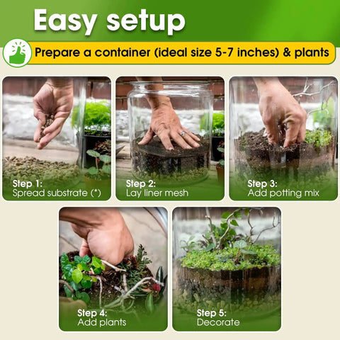 Step-by-step process of using All In One Terrarium Kit With Premium Soil Mix Pumice Zeolite Moss Sphagnum Moss Decorative Stones Mesh