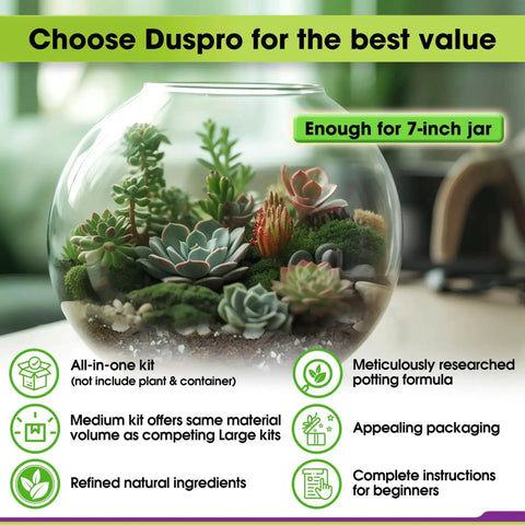 All In One Terrarium Kit With Premium Soil Mix Pumice Zeolite Moss Sphagnum Moss Decorative Stones Mesh And Tools For DIY Terrariums